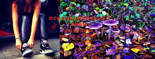 MDMA Няндома