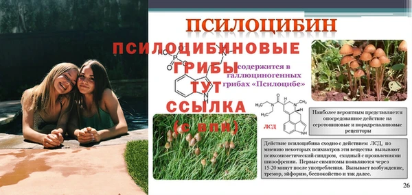 меф Нягань