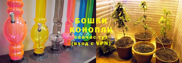 мет Протвино