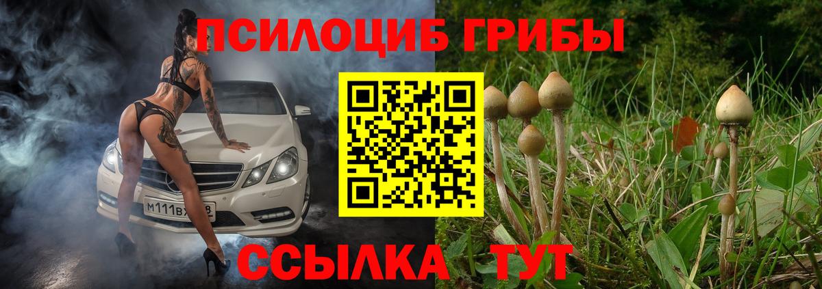 Псилоцибиновые грибы Psilocybine cubensis Саров