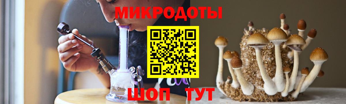 Галлюциногенные грибы Cubensis  Вход с VPN  Саров  Галлюциногенные грибы мухоморы 